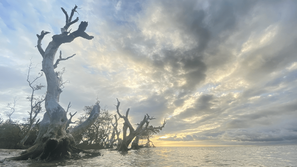 Highest possible climate ambition, substance and compliance